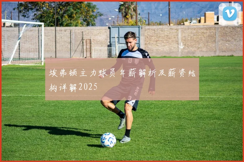 埃弗顿主力球员年薪解析及薪资结构详解2025