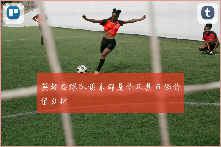 英超各球队俱乐部身价及其市场价值分析