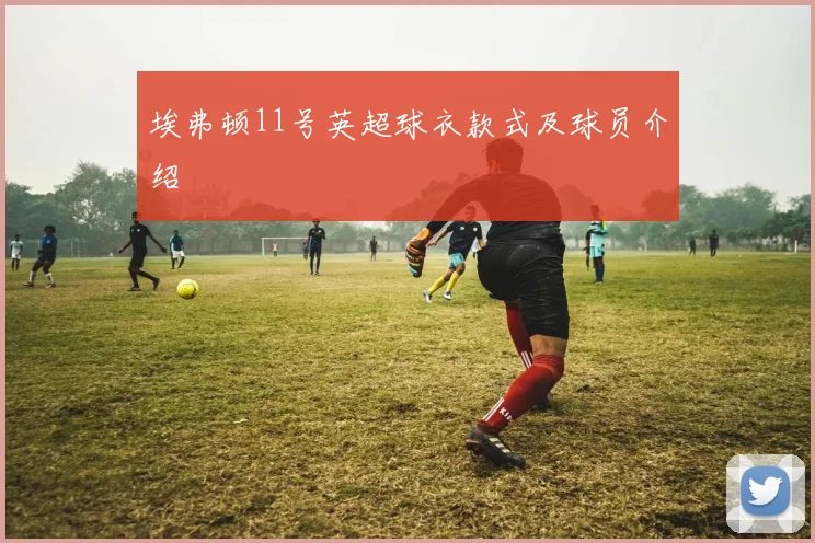 埃弗顿11号英超球衣款式及球员介绍