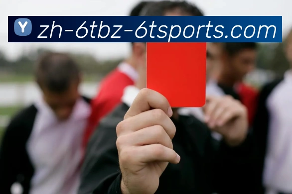 6T体育APP 高清赛事图